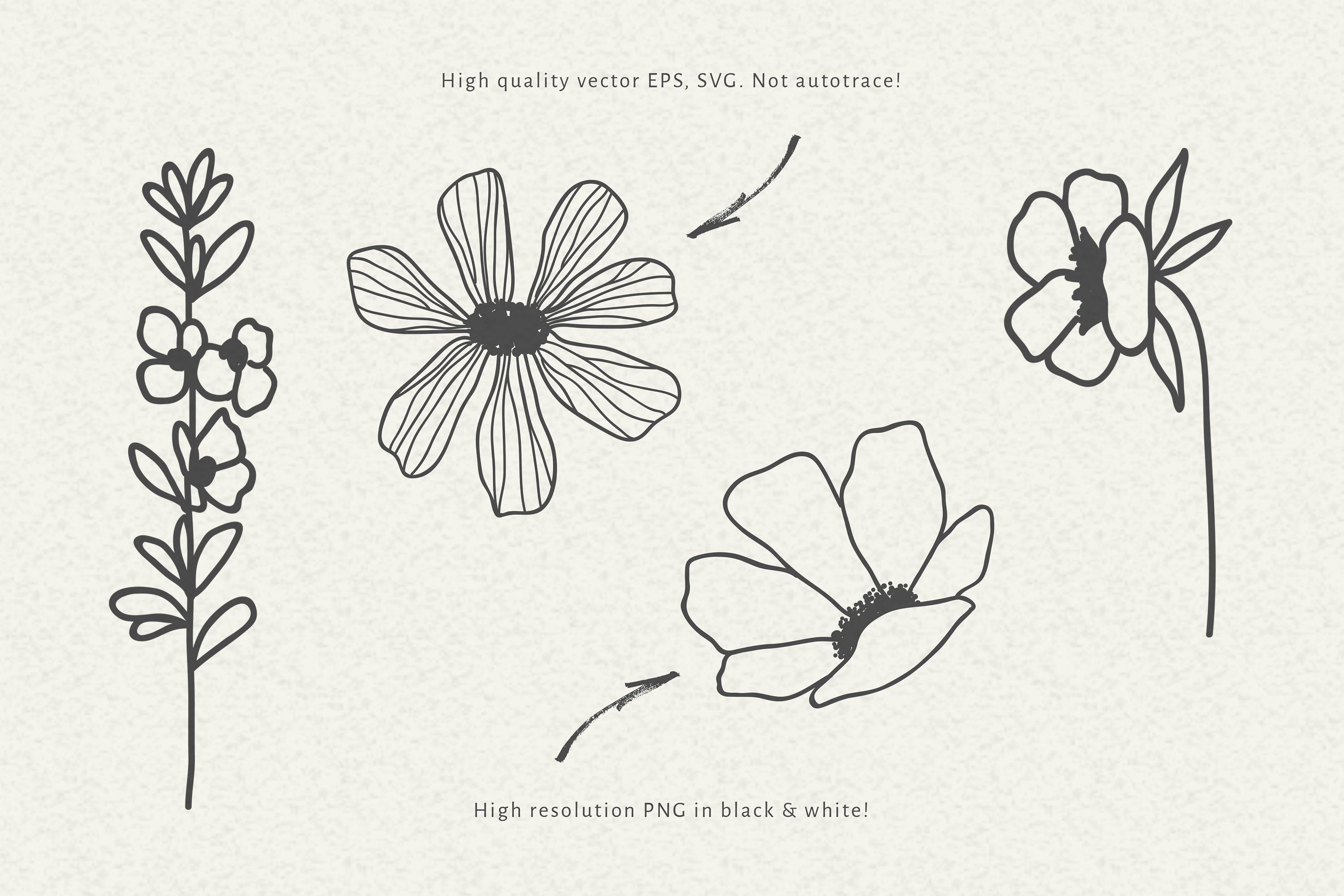 Flowers Bundle Svg - Floral Bundle Svg - Floral Clipart 3