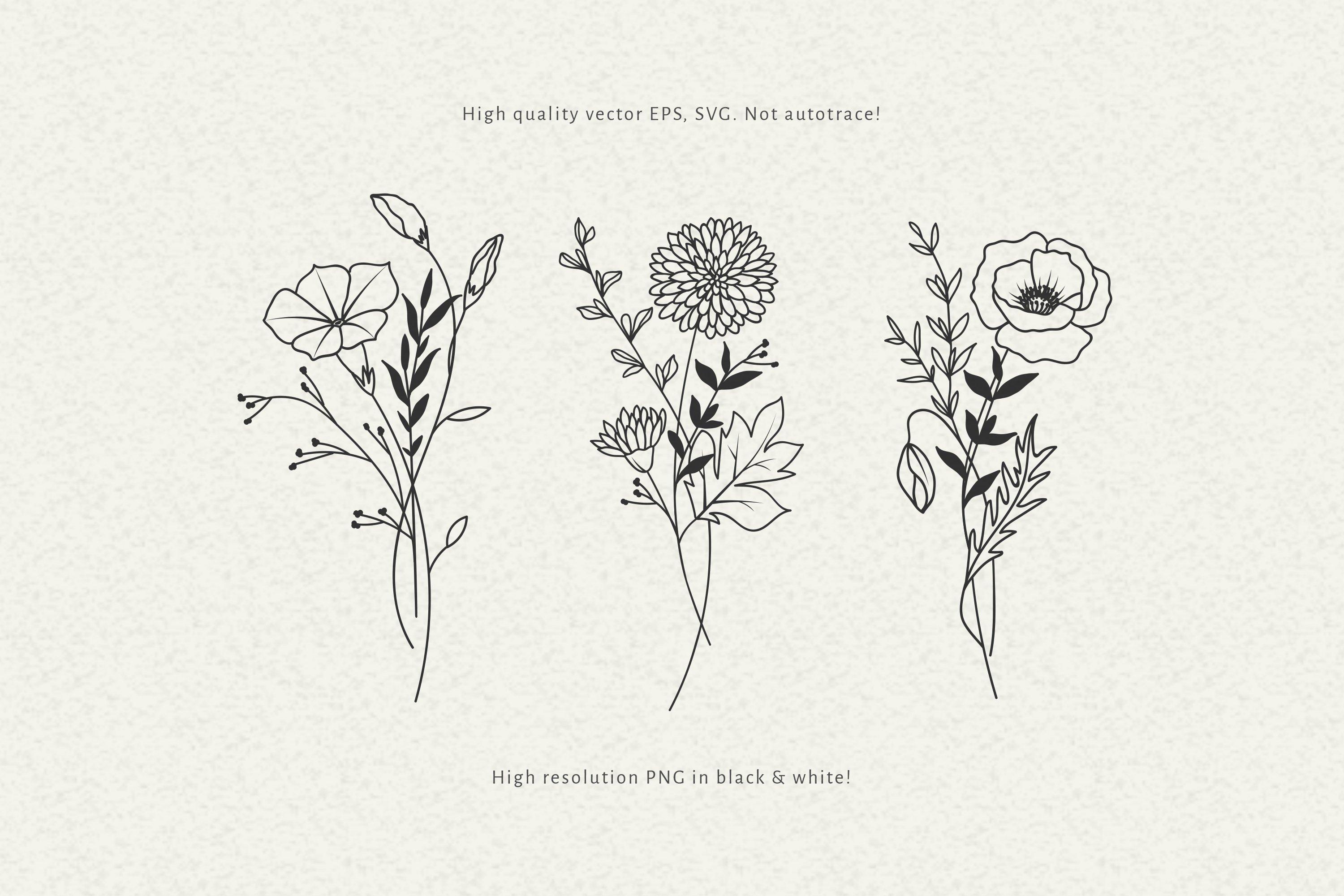 Birth Month Flowers SVG Bundle 3