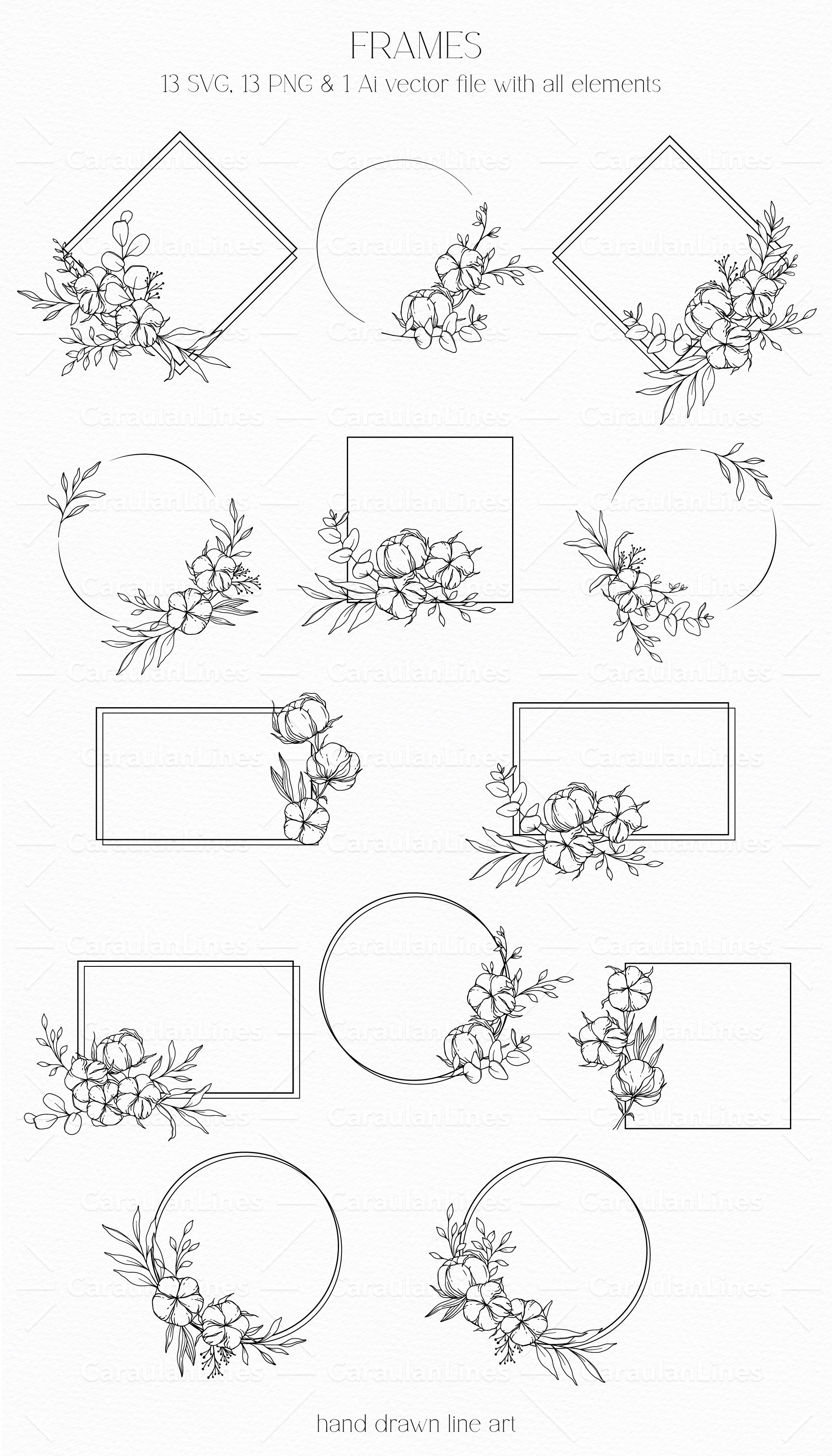 Cotton SVG, Floral Clipart SVG, Line Art Flowers Set 3