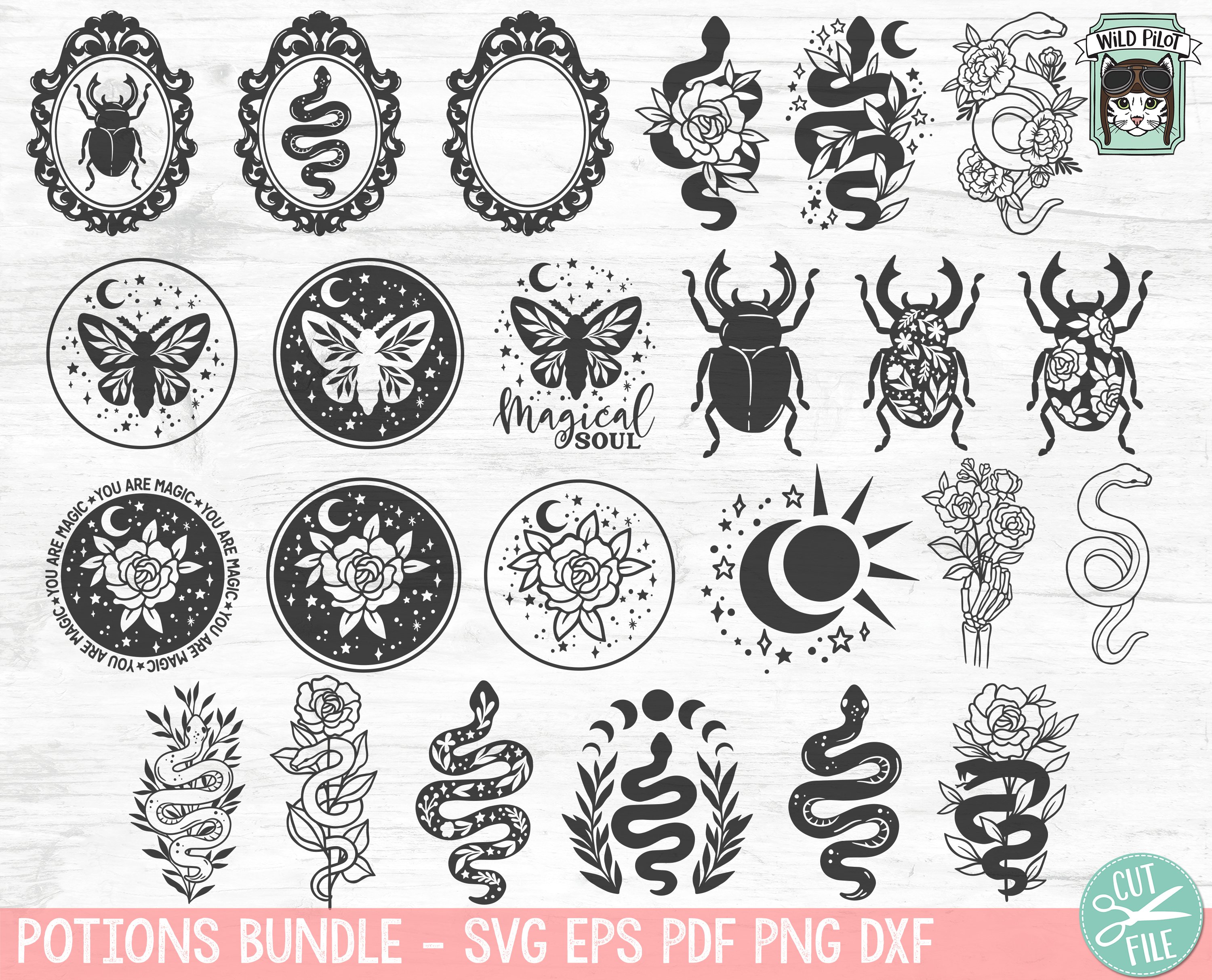 Mystical SVG Bundle, Beetle SVG, Moth SVG, Floral Snake SVG 2