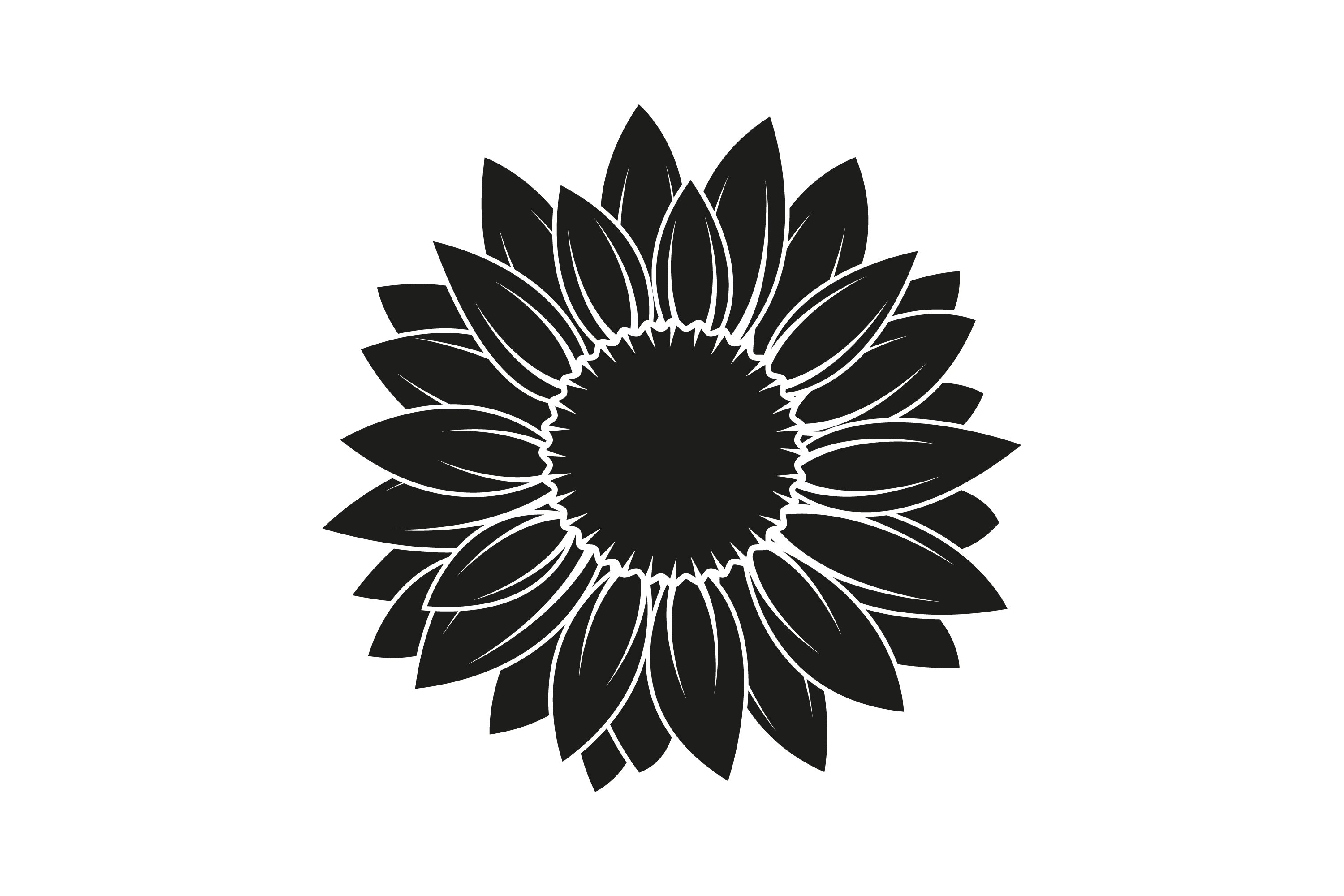 Sunflower SVG | Sunflower Monogram Frame 3