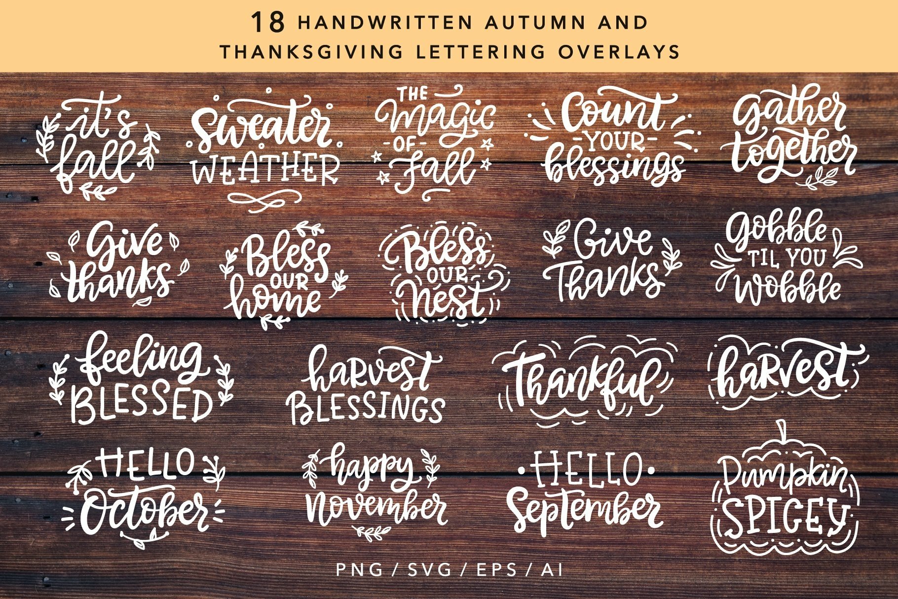 Cute Thanksgiving SVG Bundle 3