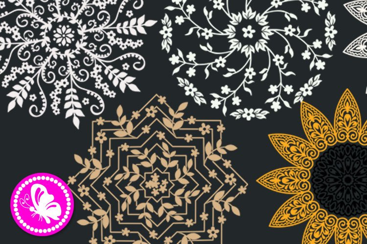 Bundle Flowers Mandalas svg Mandala Sunflower Chamomile Png 3