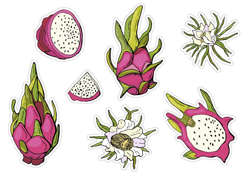 Pitahaya/Printable Stickers Cricut Design 2