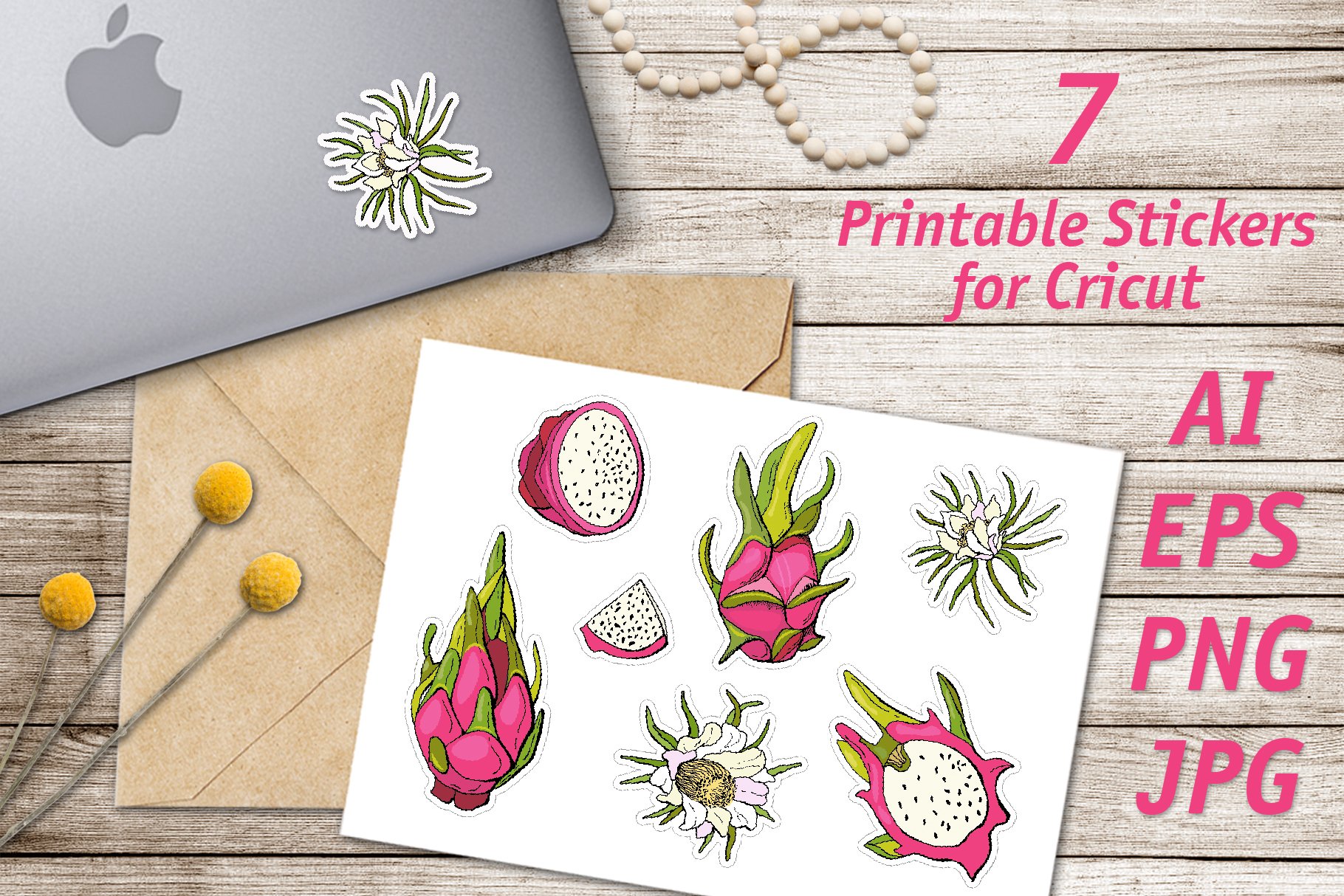 Pitahaya/Printable Stickers Cricut Design 3