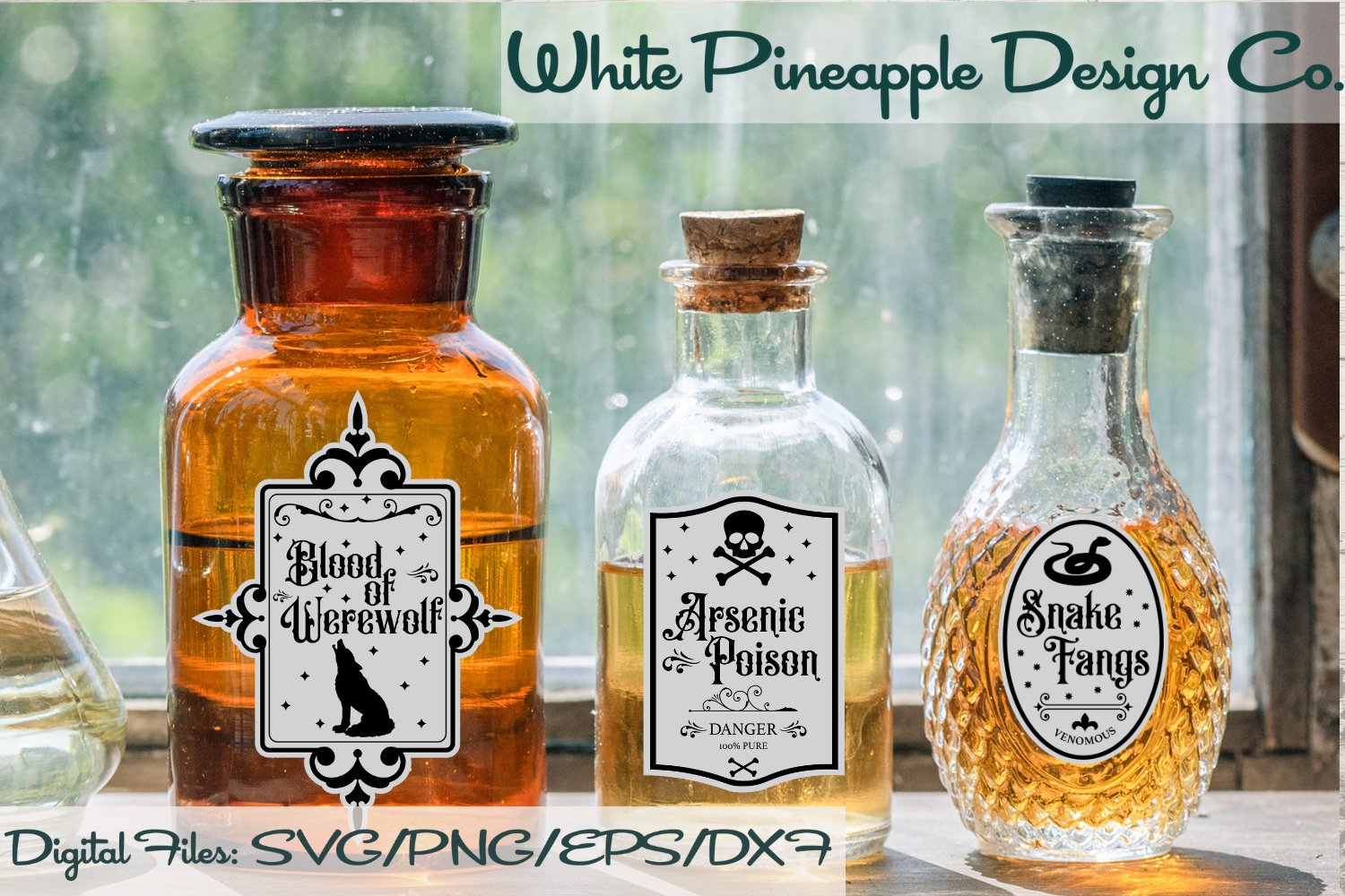 Halloween Potion Bottle Label Cut Files | SVG, PNG, EPS, DXF 2