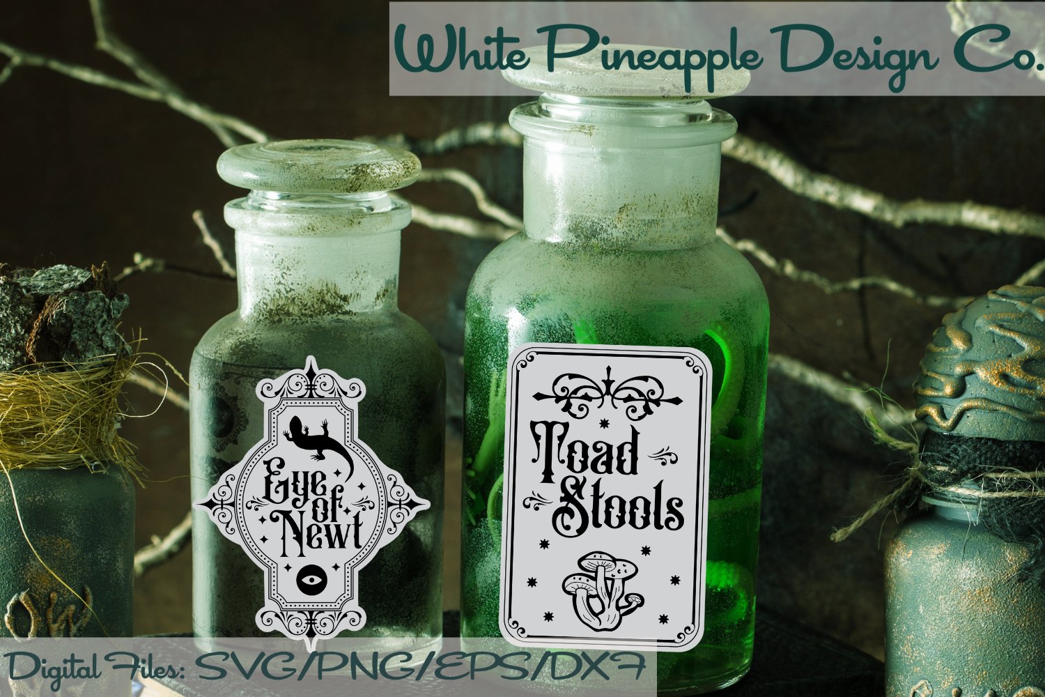 Halloween Potion Bottle Label Cut Files | SVG, PNG, EPS, DXF 3