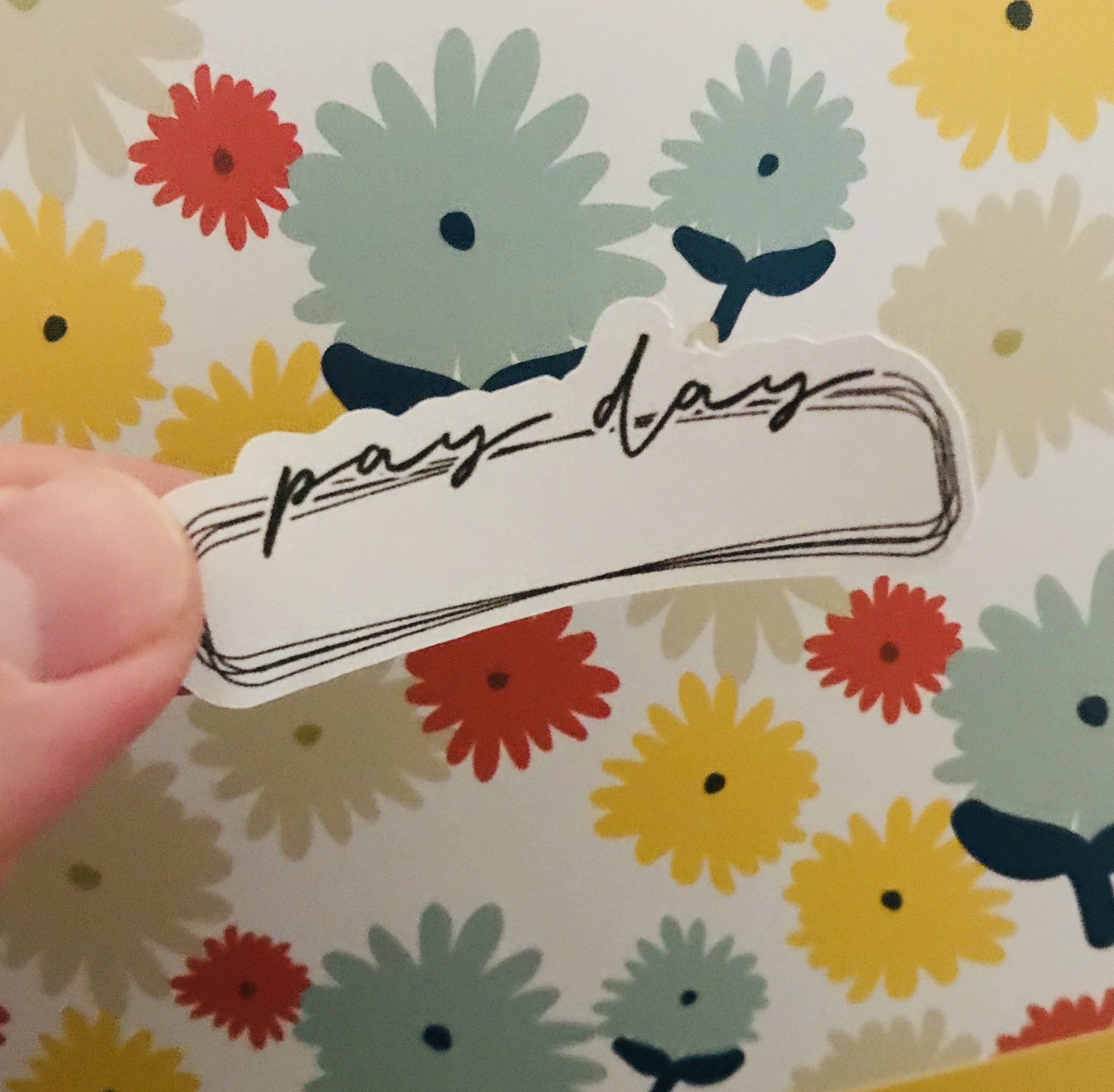 Budget Sticker Bundle|Pay day stickers|Stickers 3