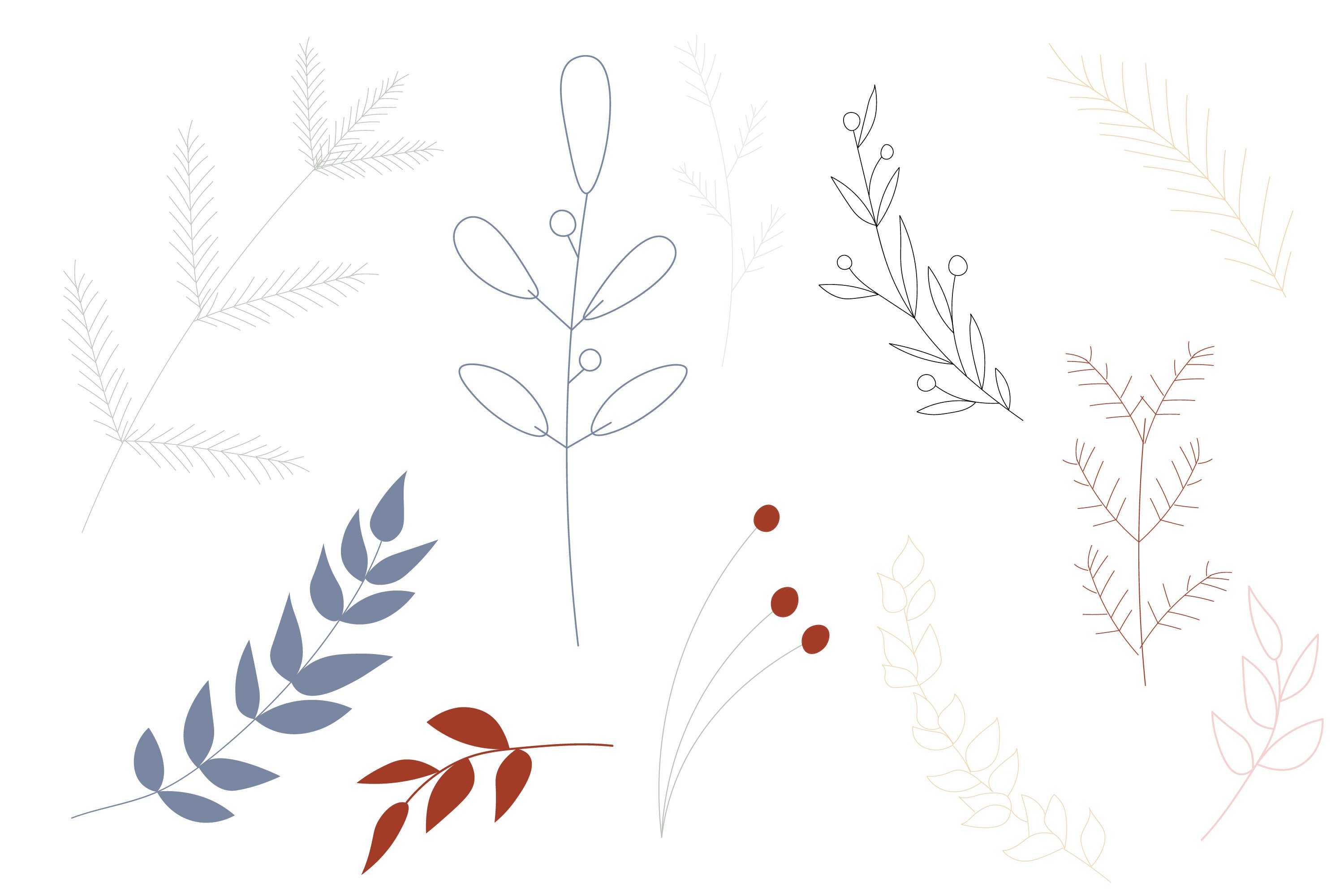 Flora and Abstract Shapes SVG and PNG Cut 3