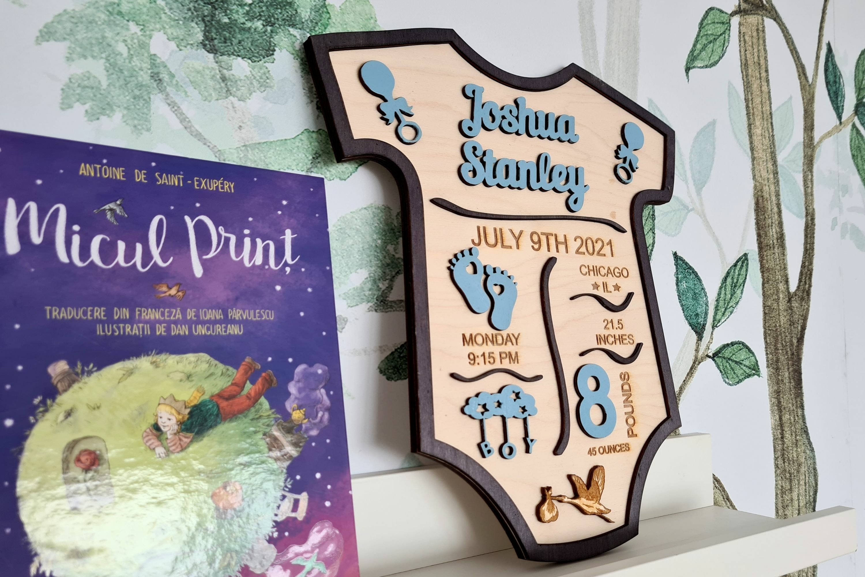 Baby Announcement Stats Birth Sign Bundle Photo Prop 2