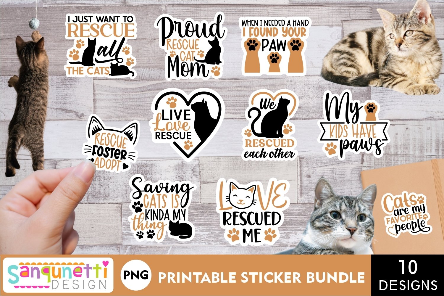Rescue Cat Stickers | Cat sticker bundle