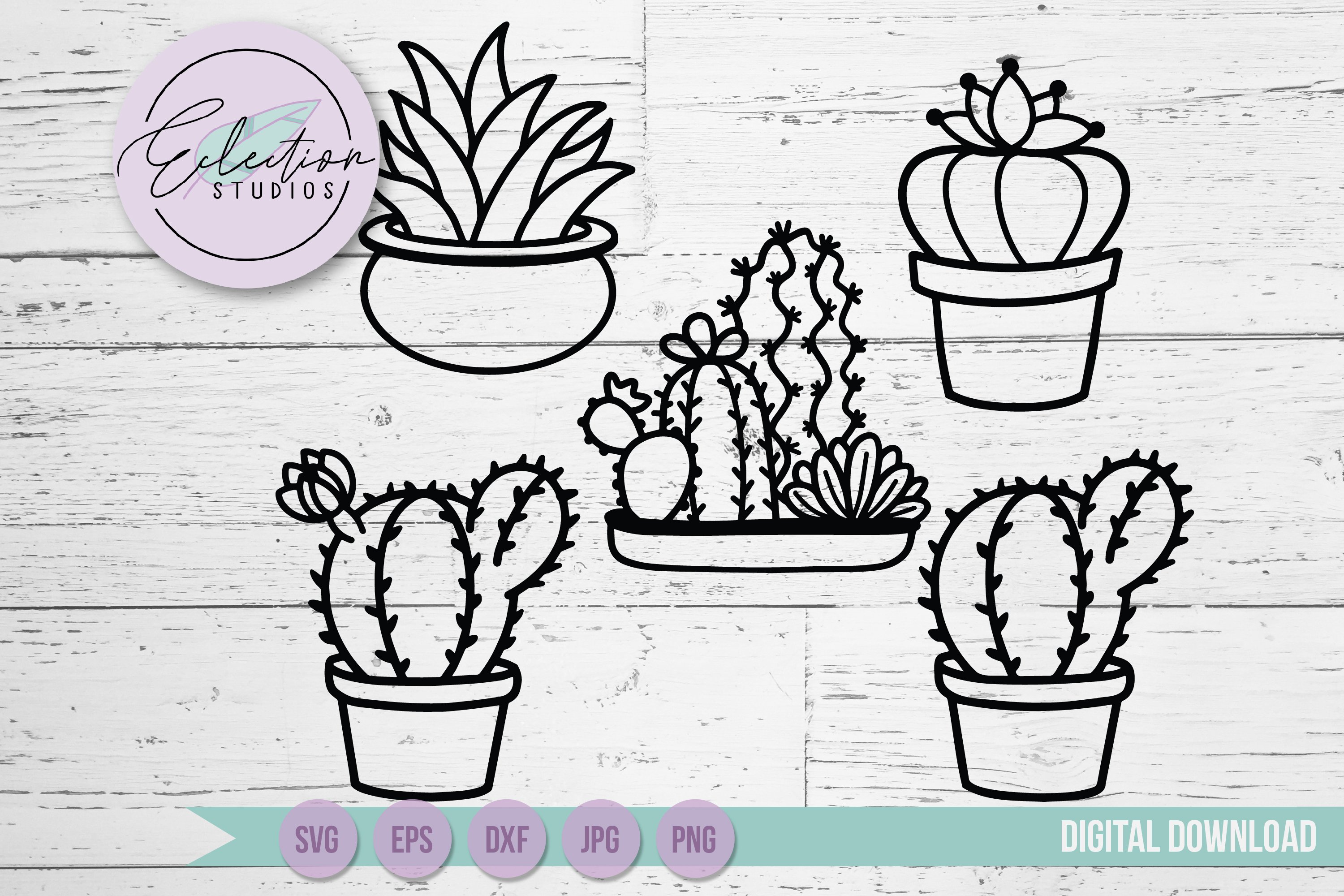 Hand Drawn Cacti Bundle