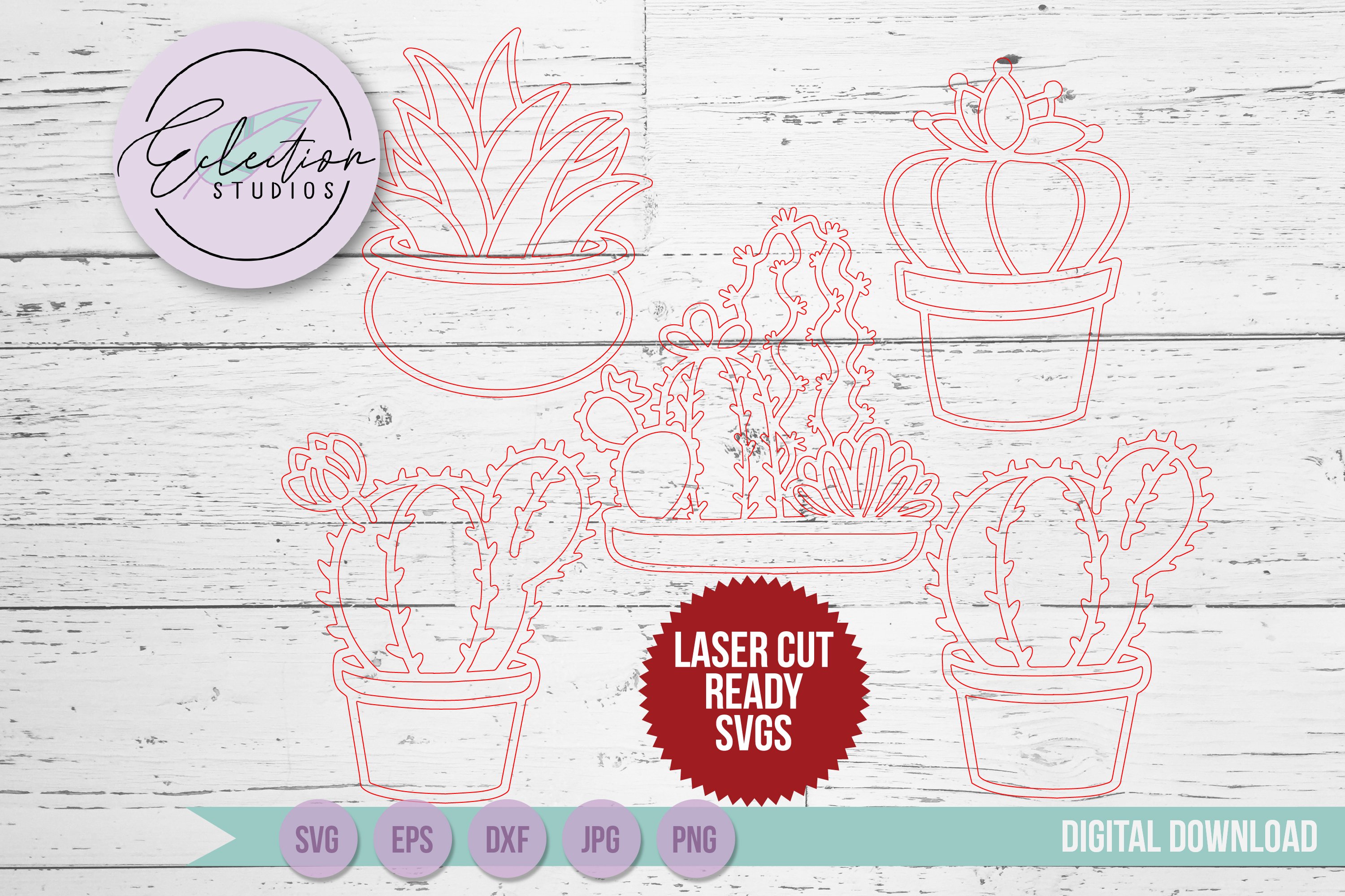 Hand Drawn Cacti Bundle 3