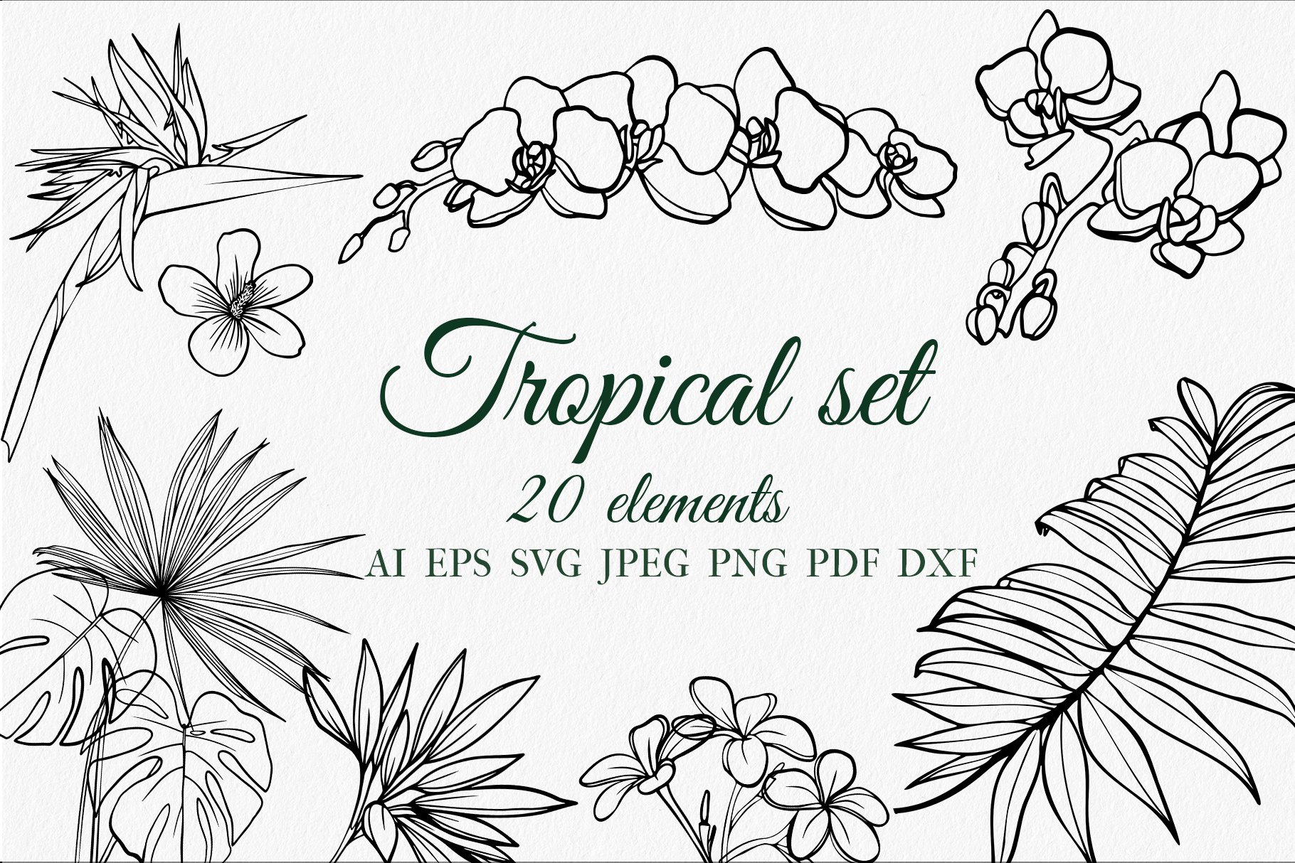 Tropical set SVG