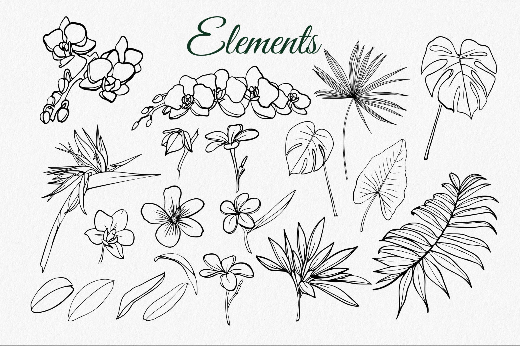 Tropical set SVG 2