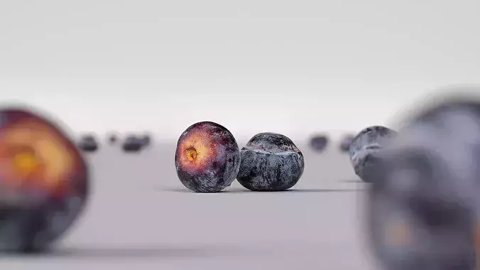 Blueberry 3D model 2