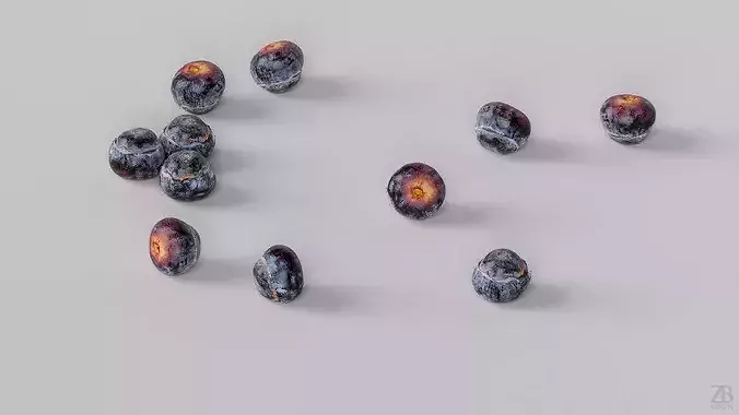 Blueberry 3D model 3