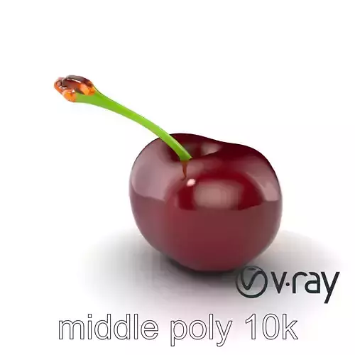 Realistic Cherry with Dark Red Glossy Texture model pack Low-poly 3D model