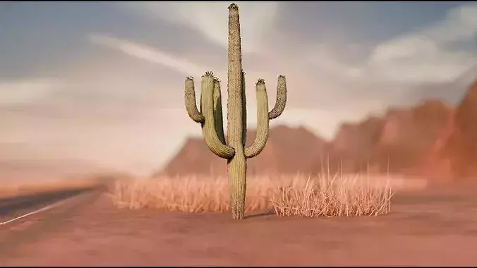Desert Highway 3D model 2