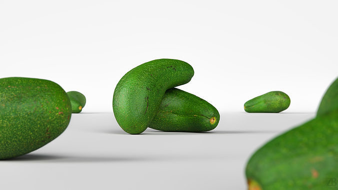 Avocado 3D model 2