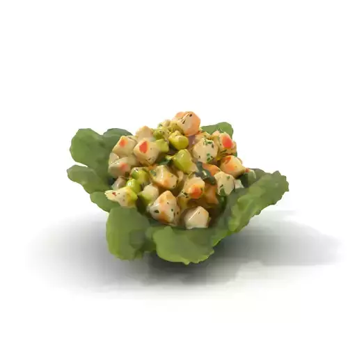 Fresh Seafood Salad on Lettuce model pack Low-poly 3D model