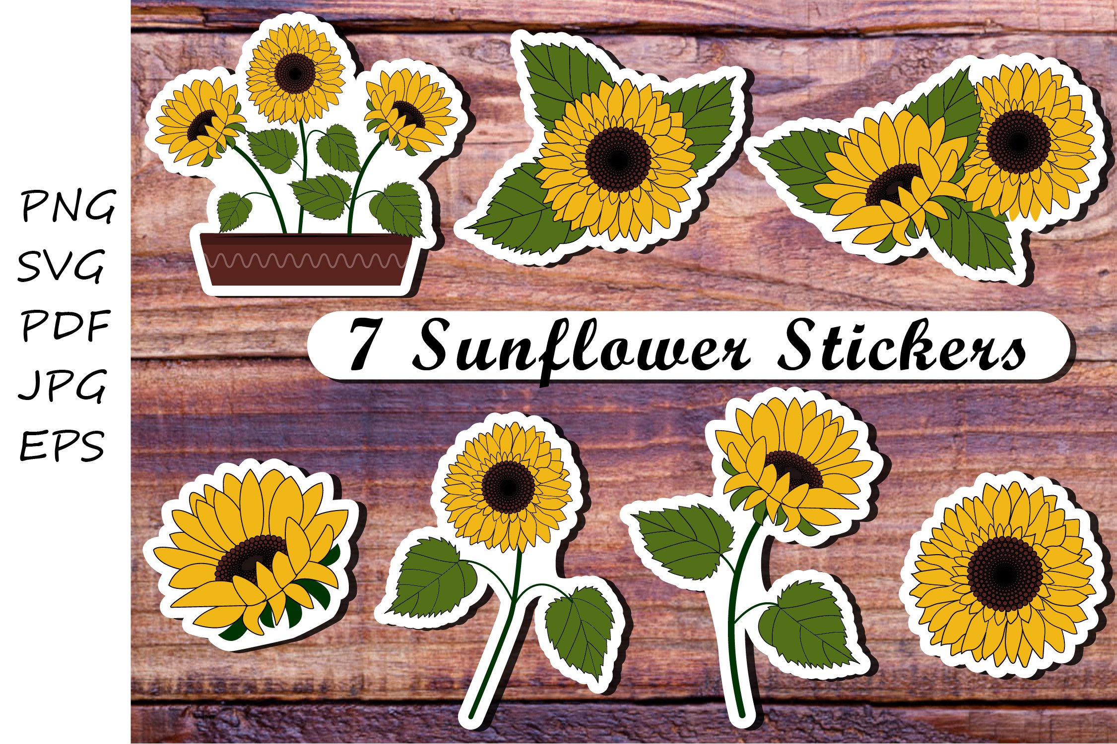 Sunflowers stickers. Sunflower png. Sunflower svg