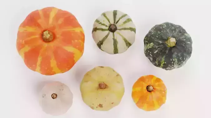 Pumpkins - 6 Assorted Realistic Squash Varieties 3D model 2