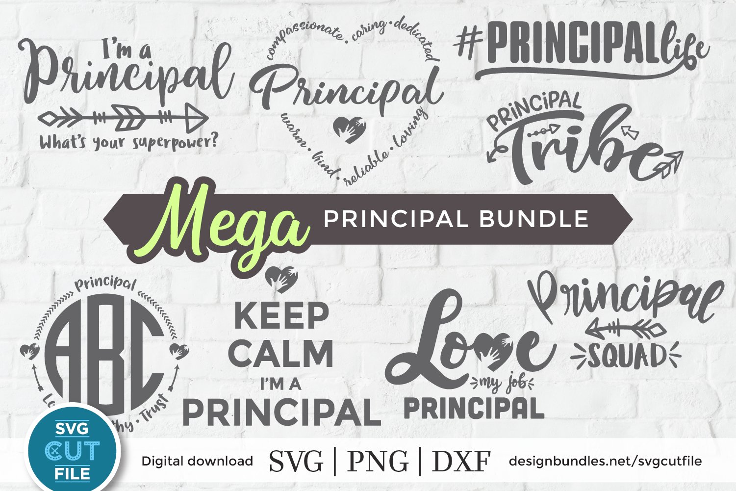 Principal svg bundle, Elementary school principal svg bundle