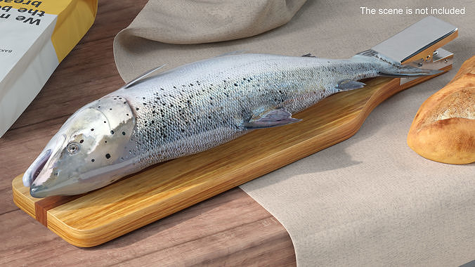 Fillet Board with Salmon 3D model 2
