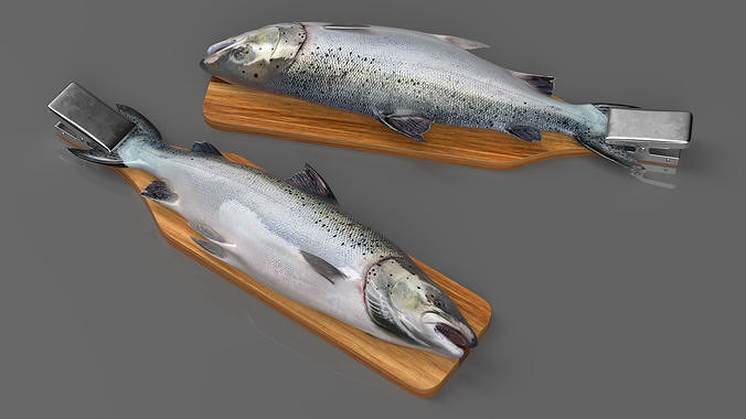 Fillet Board with Salmon 3D model 3