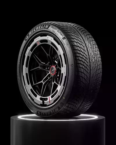 MICHELIN Pilot Alpin 5 275 35 R21 103V 3D model