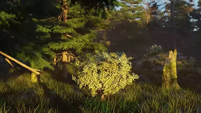 Seasonal Forest Pack   5 Environments PBR 3D model 2