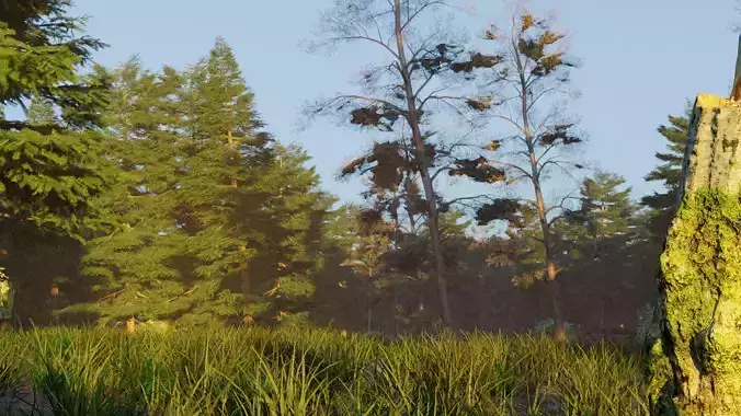 Seasonal Forest Pack   5 Environments PBR 3D model 3