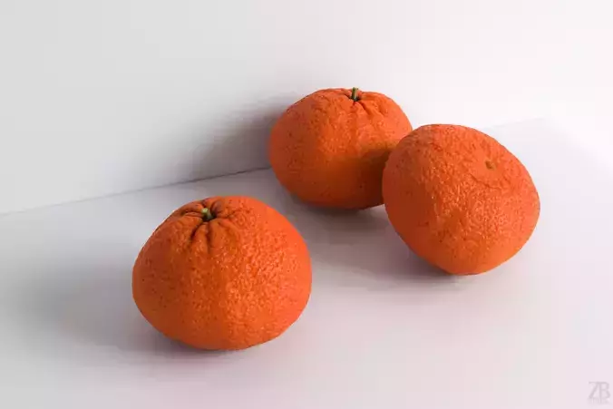 Ortanique 3D model